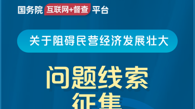 www.日骚国务院“互联网+督查”平台公开征集阻碍民营经济发展壮大问题线索